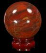 Colorful Petrified Wood Sphere #41936-1